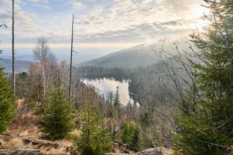 Gemeinde Sankt_Oswald-Riedlhütte Landkreis Freyung-Grafenau Großer Rachel Rachelkapelle Aussicht Rachelsee (Dirschl Johann) Deutschland FRG